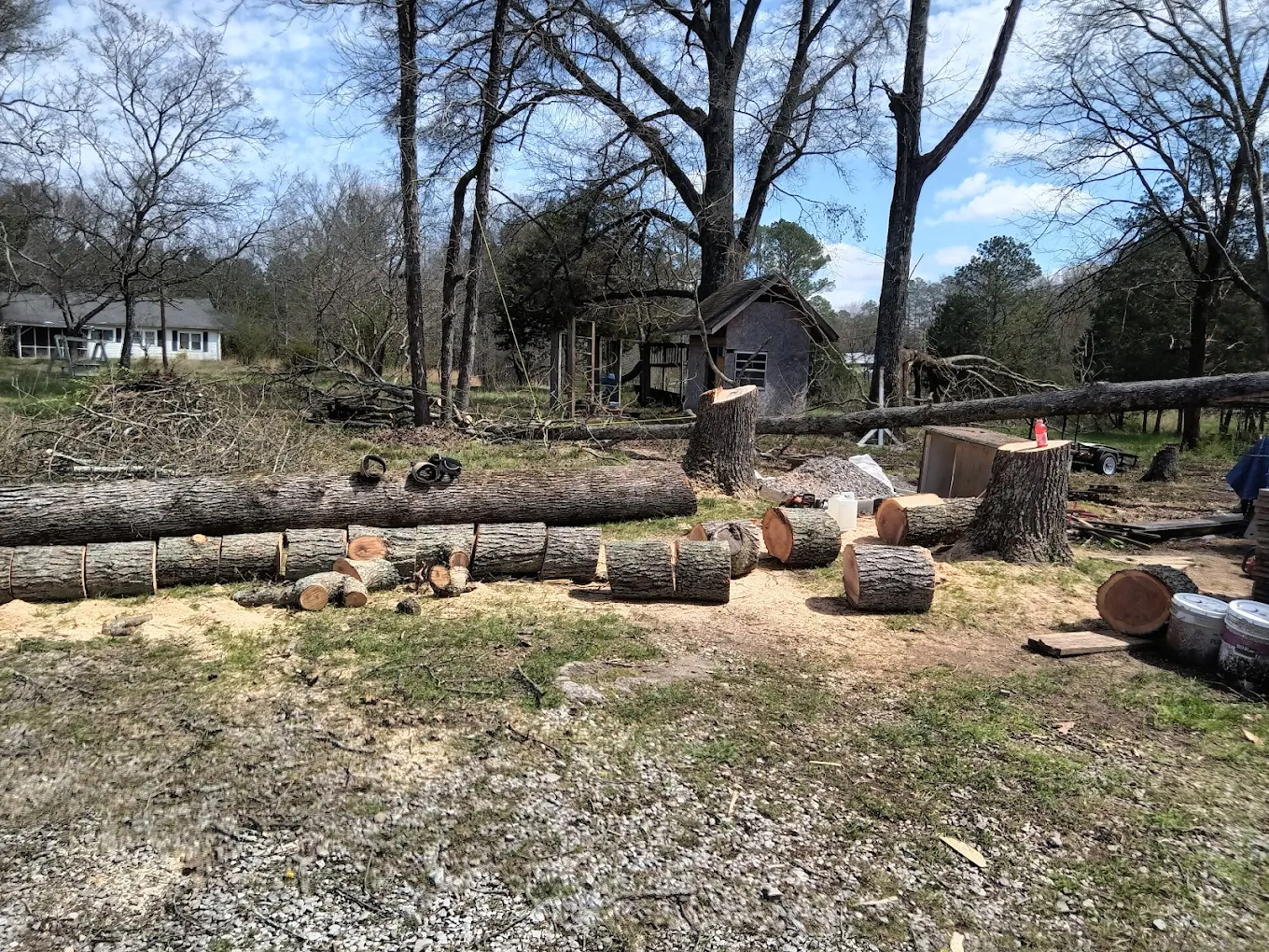 Smith Tree Removal and Lawn Care in Red Bank TN