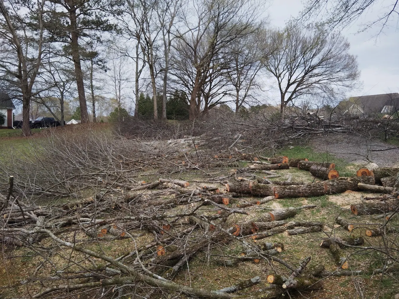 Storm Damage Cleanup & Emergency Tree Removal in Red Bank TN