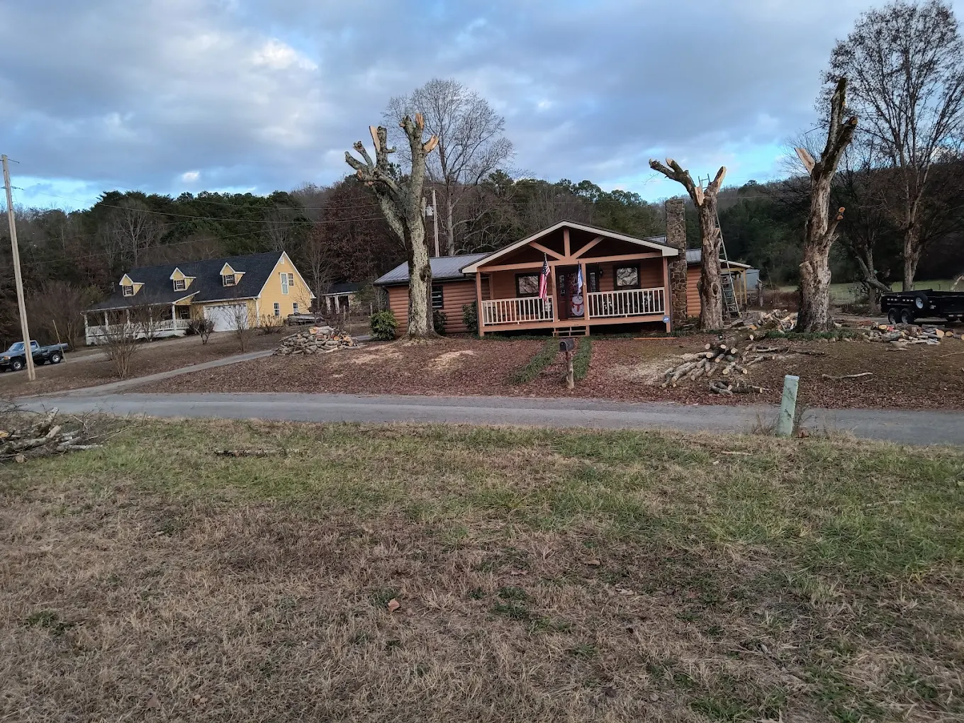 Tree Trimming & Pruning in Red Bank TN